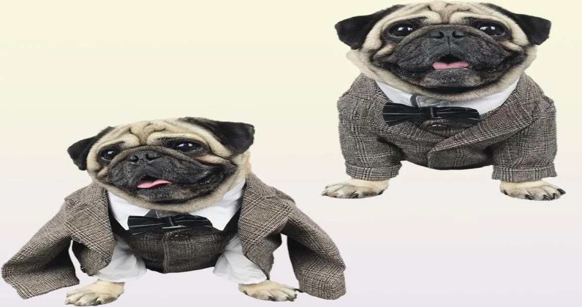 Hundkläder Cat Clothes Wedding Party Suits For Small Dogs Pet Tuxedo Coat Costume XS S M L XL 2XL6452244