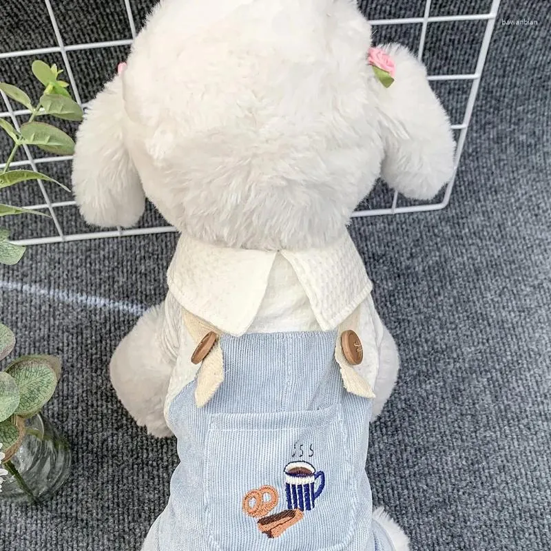 Ubrania z odzieży dla psa Bixiong Teddy Schnauzer Bomei Anti Hair Słodki cztery nogi ubrania Summer Dirt Pasp Costume