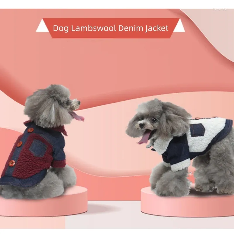 Hundebekleidung Winter Haustier Kleidung verdickte Baumwollpapiermantel Kurzärmele Fashion Lambswool Jeansjacke für kleine Hunde Kostüme