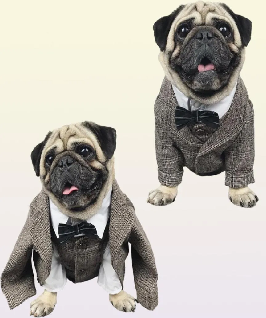 犬のアパレル猫の服の結婚式のパーティースーツのための小さな犬ペットタキシードコートコスチュームXS S M L XL 2XL8964355