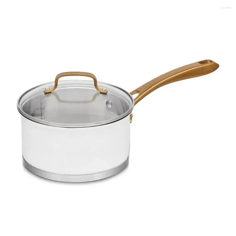 Pans Classic 2.5QT Edelstahl -Stahl -Topf mit Abdeckung und gebürsteten Goldgrätzen matt weiß