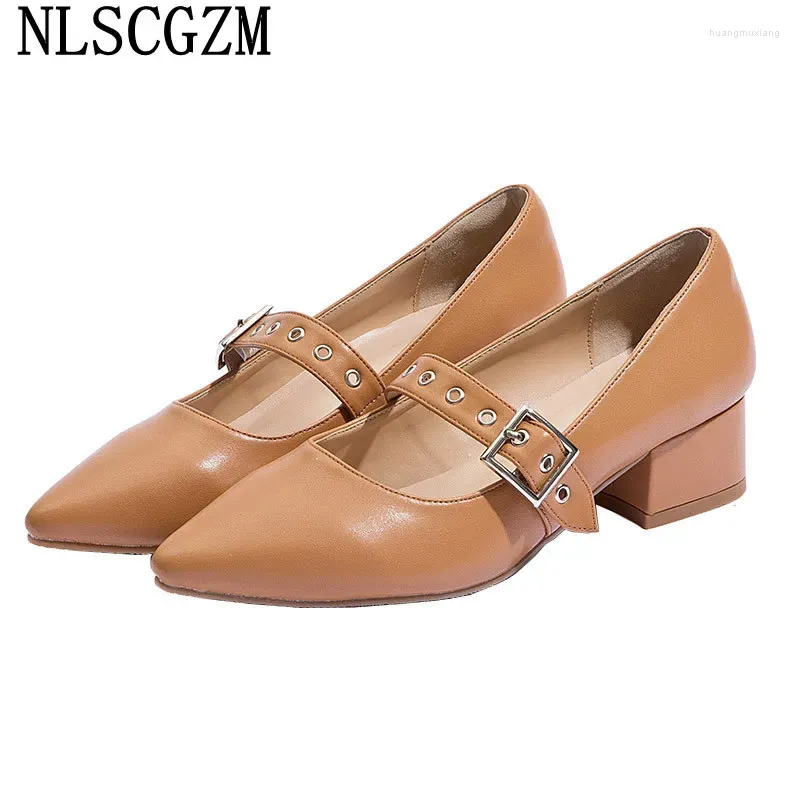 Casual schoenen Oxford voor vrouwen Mary Jane Harajuku Ladies Leather Office 2024 Chunky Heels Zapatos de Mujer