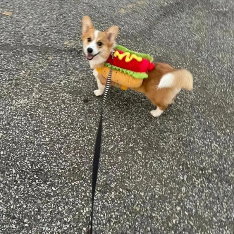 Pssopp Hot Dog Kostüm Für Hunde - Lustiges Hamburger Design Für Partys & Cosplay