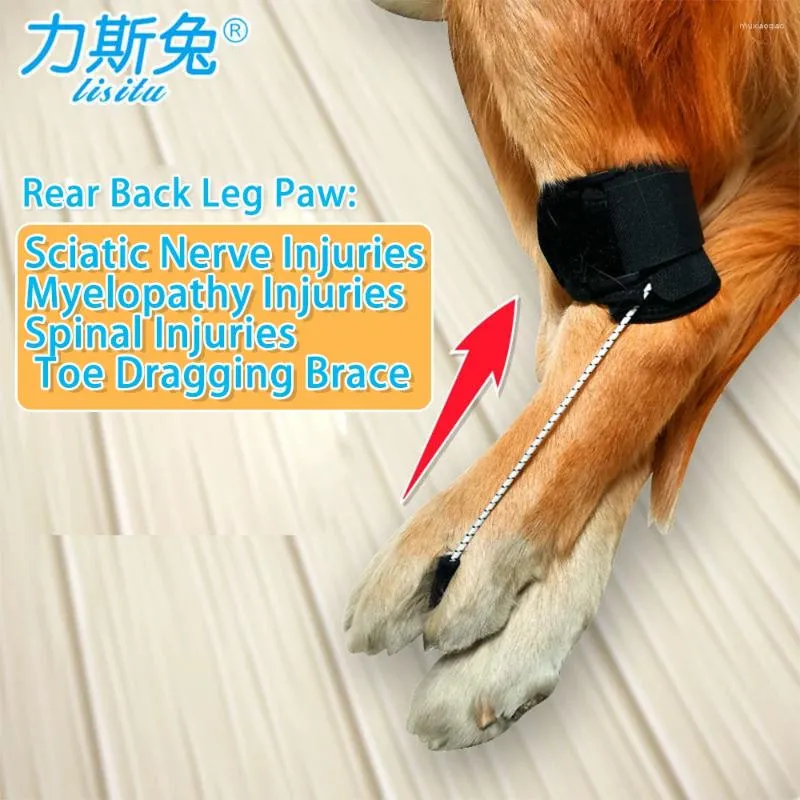 Ubrania z ubrania dla psów knocklingowe stóp palca ciągnący szelf do tylnej tylnej nogi z urazami nerwu kulszowego. Mielopatia i obrażenia kręgosłupa