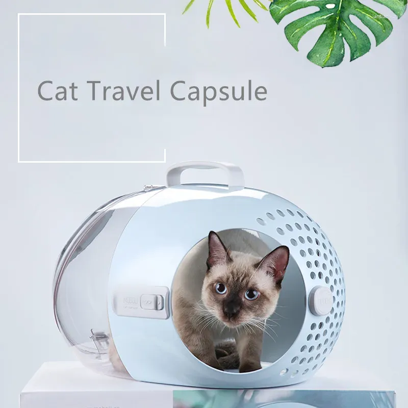 Kattbärare husdjur levererar resväska ut som utför mobil best andningsbara