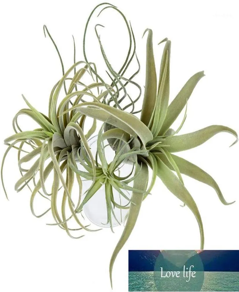 Dekorativa blommor kransar 4pack konstgjorda ananasgräs luftväxter falska faux flocking tillandsia bromeliader hem trädgård deco3630513