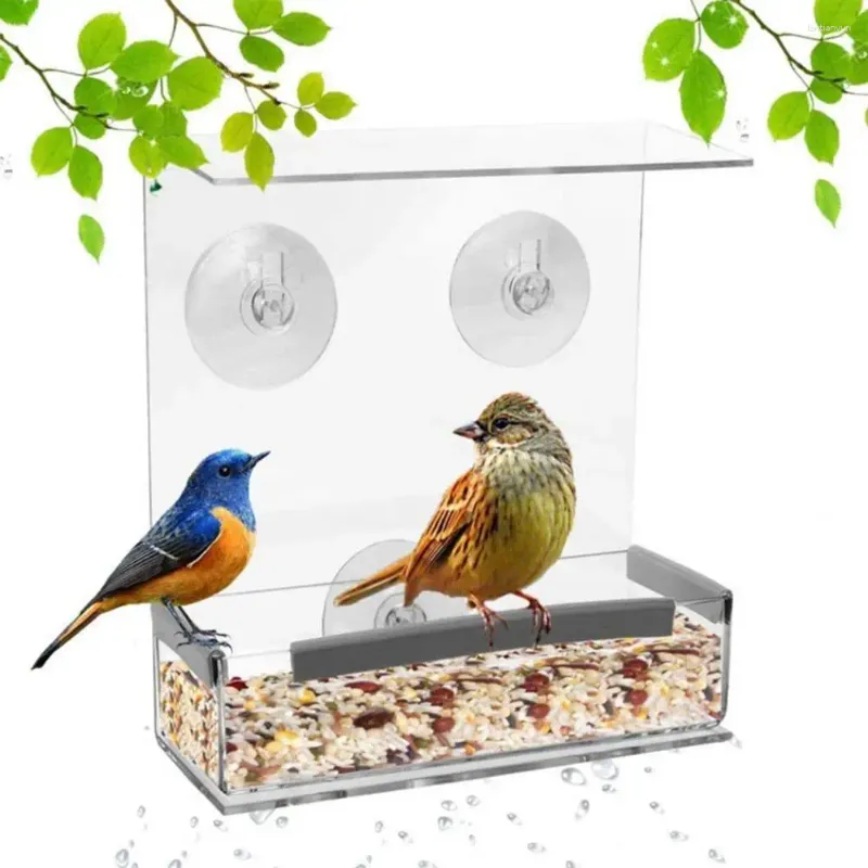 Altre forniture per uccelli Eccellente finestra alimentatore pappagallo nessun distributore di alimenti per odore 3 giardino di alimentazione forte
