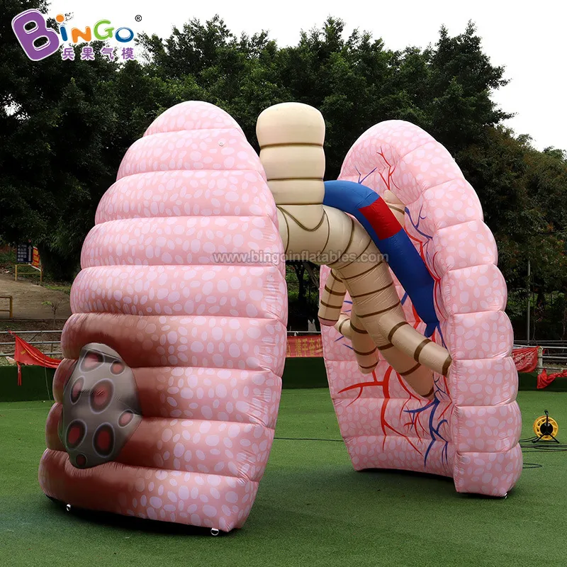 Wholesale Health Promotion Surveying Equipment: Inflatable Human Organ ...