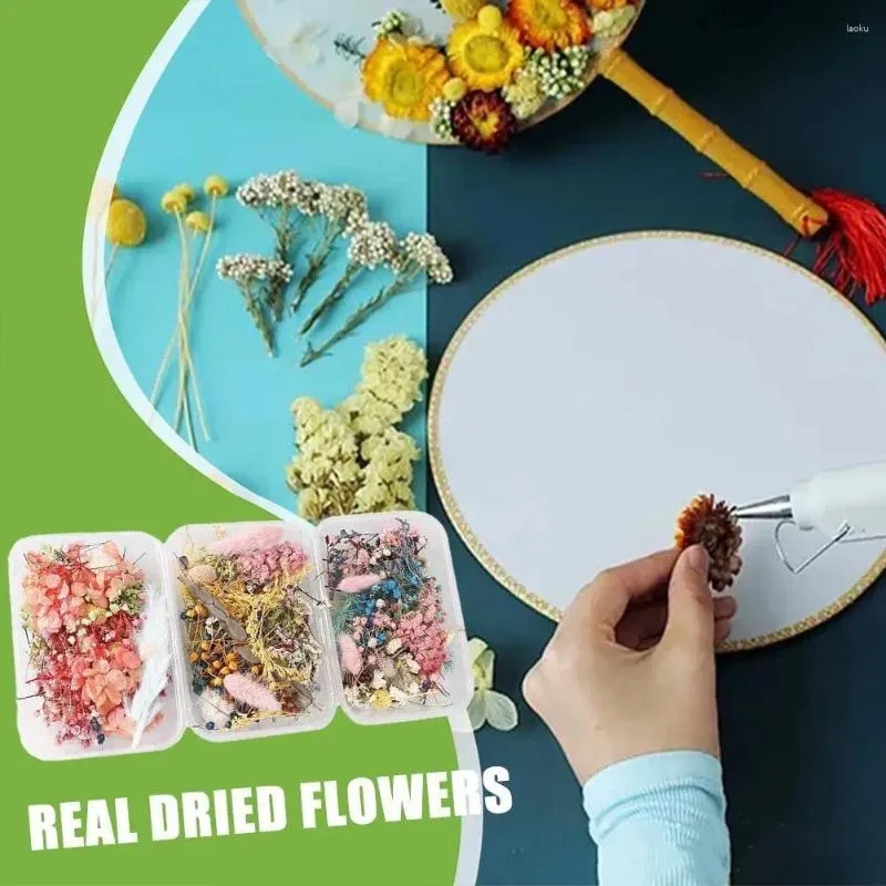 Dekorative Blumen farbenfrohe natürliche getrocknete Diy Bouquet Girlanden Kerzenherstellung Home Hochzeitsbox Blumendekor für Epoxidharz handgefertigt CRA Z9B3