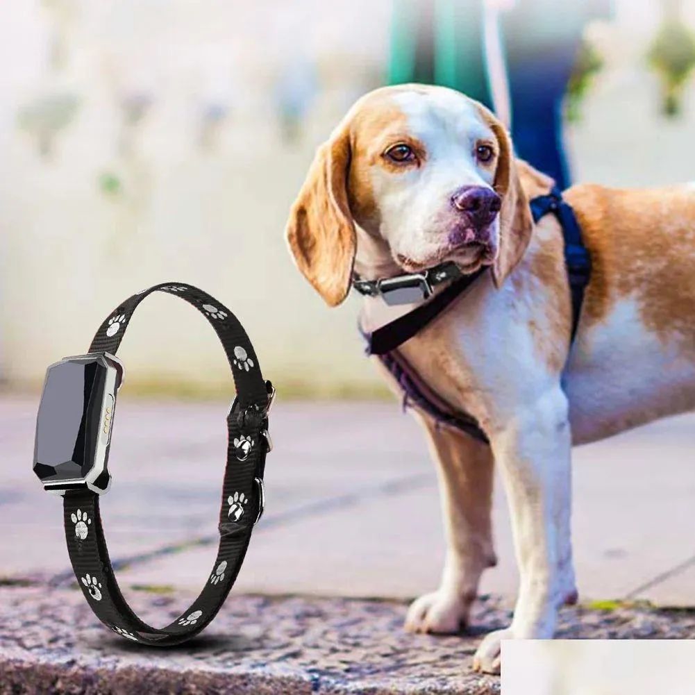 Andra hundartiklar Trackers IP67 Waterproof GPS AGPS LBS WiFi Tracker för kattplats Krage RealTime Positionering Antilost Pet Drop D DHTHM