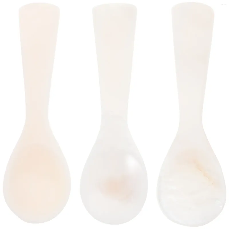 Spoons 3 Pcs Decor Shell Caviar Spoon Restaurant Dessert Soup Picture Dinner White Child