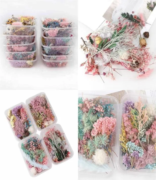 1 Box Real Dried Flower Dry Plants For Aromatherapy Candle Epoxy Resin Pendant Necklace Jewelry Making Craft DIY Accessories 1309 7662047