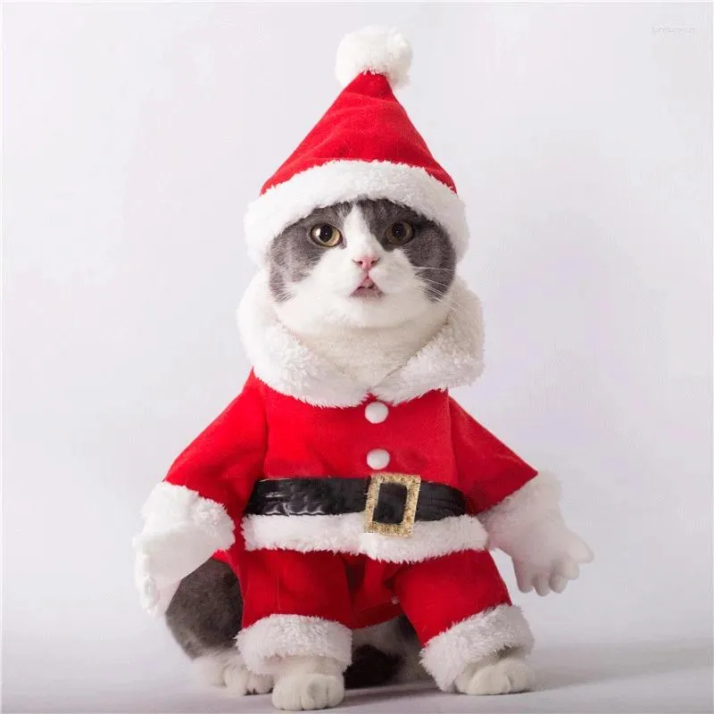 Vestuário de cães roupas de natal outono e inverno gato de estimação na vertical para o santa teddy bichon urso pequeno