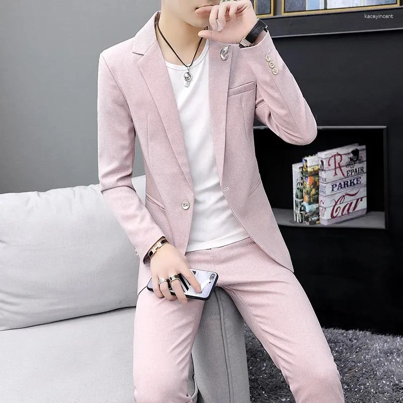 Suisses masculines 2024 Style de printemps (pantalon de costume) Version coréenne Slim Trend Boy Match Matching Classic Color Color deux pièces