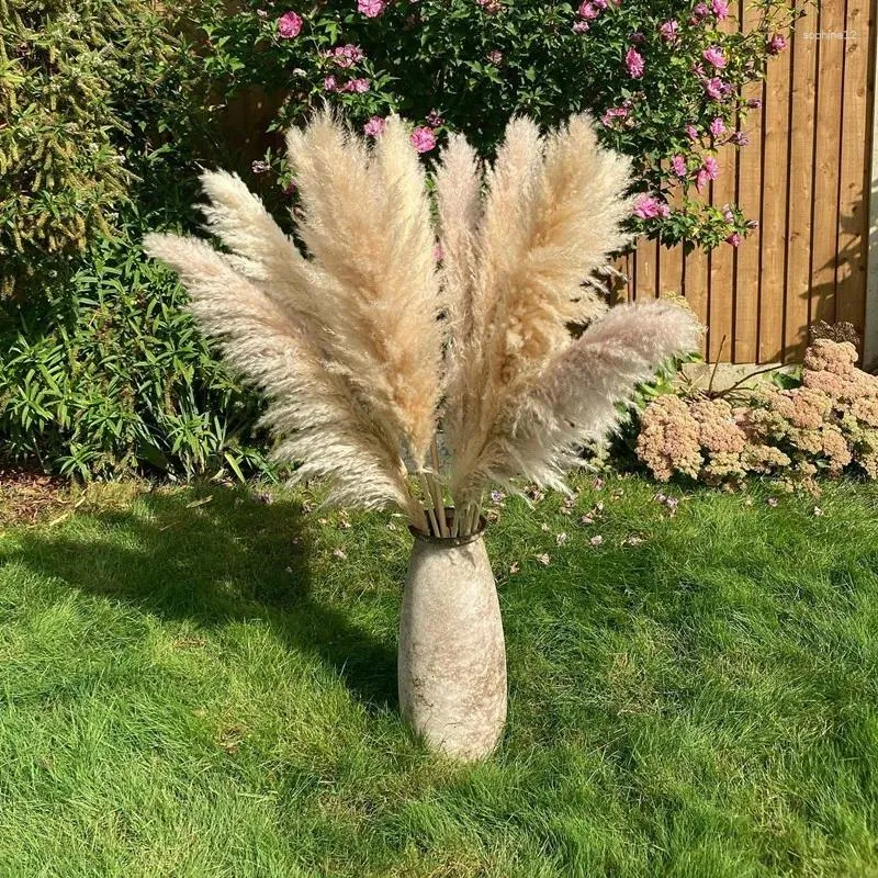 Fleurs décoratives 1-1,1 m Anche grande pampas Grass Herbe Natural Dryness Mariage Bouquet Tall Flower Flower Cérémonie MODÈNE MODE