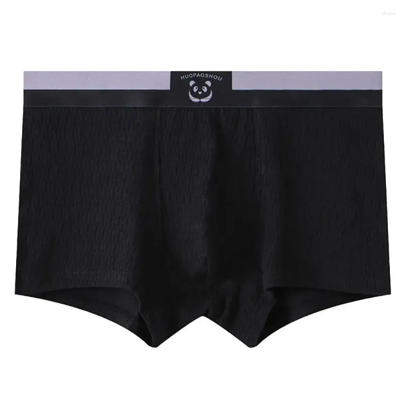 Underpants Men Shorts Shorts a forma di U Shorts Shorts Brep elastico di panda elastico Mesh medaglia