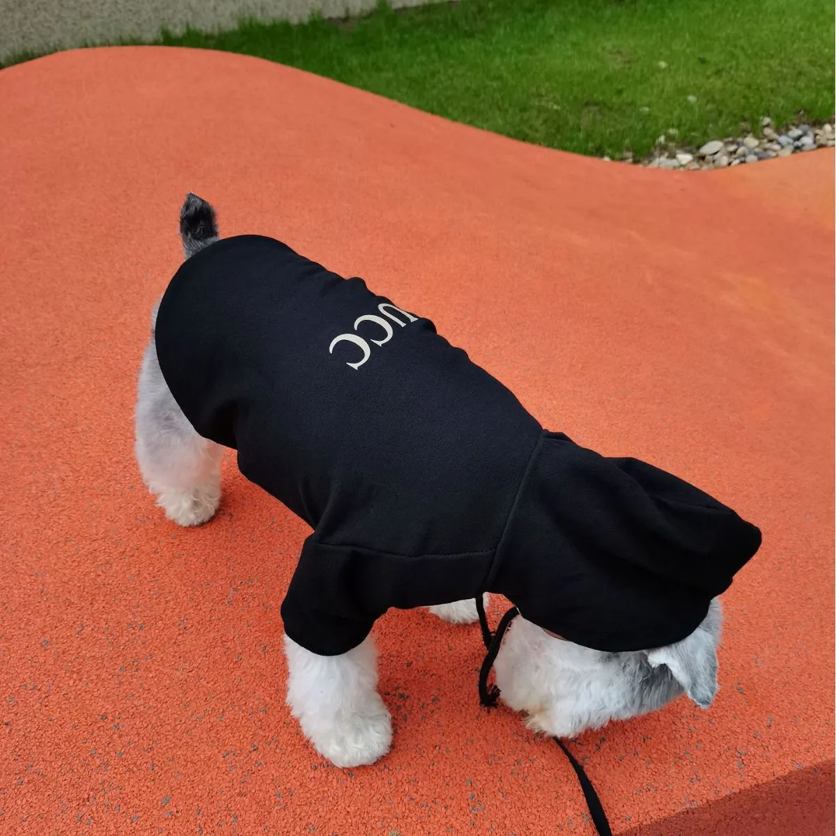 Trendy merk hond katoen kleding hoodie hoodie kleine hond slabib beer vechtende huisdier bipod -leboqipaishi 03