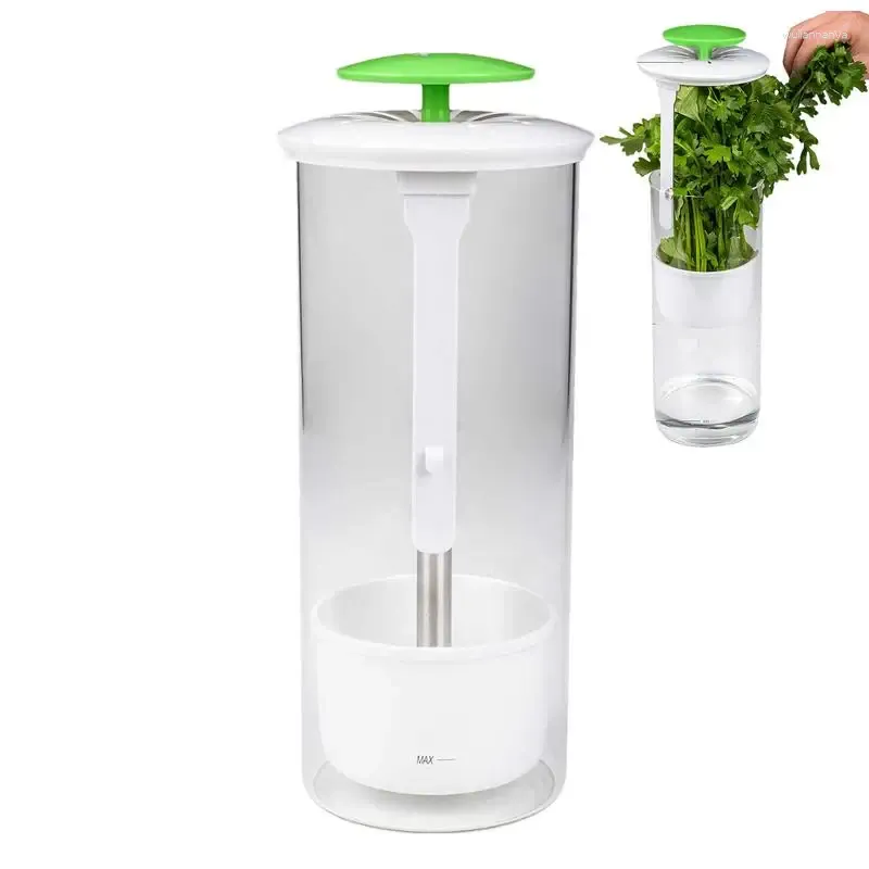 Storage Bottles Cilantro Keeper Refrigerator Green Vegetables Organizer With Ventilation Slot Container Saver