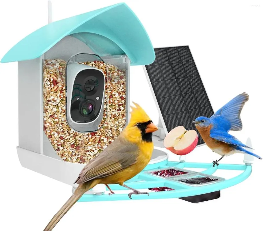Transform Your Backyard into a Bird Oasis with Window Bird Feeders