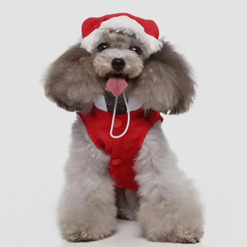 Abbigliamento per cani abiti da pet natalizio per gatto cucciolo decorativo piccolo costume adorabile abbigliamento di Natale Babbo Natale divertente