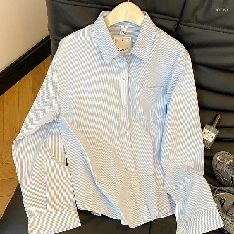 Damskie bluzki swoboda bawełniana koszula Oxford Koreańska wersja dobrej jakości bluzka kobieca i wierzchnia białe niebieskie koszule w paski Ubrania