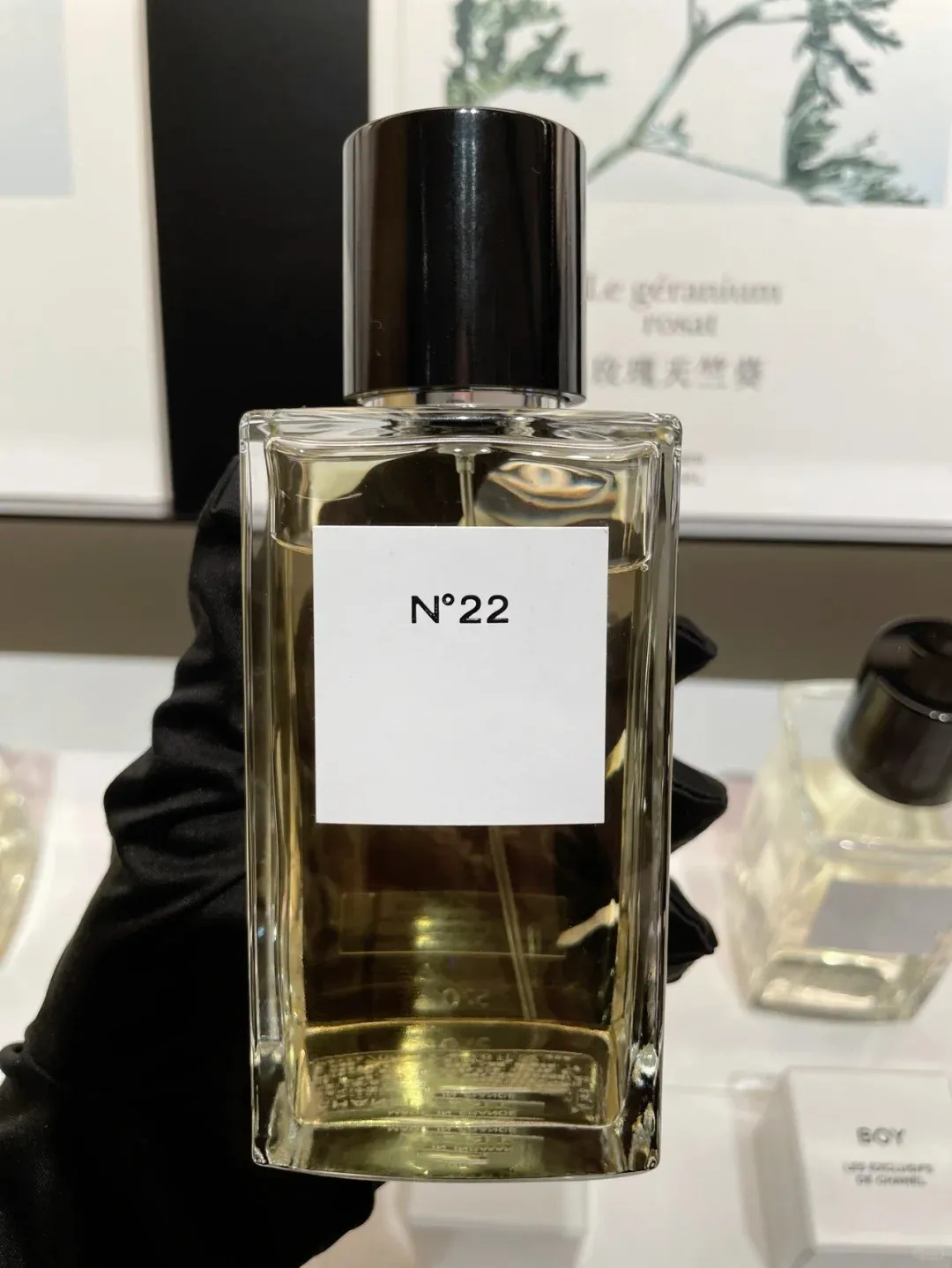 2024 Collection Series No.22 Women Parfum Le Lion de Paris Fragarance 75 ml Jersey 1957 Gardenia Eau de Parfum Langdurige geur Les Excusifs Spray Neutral Keulen Cologne