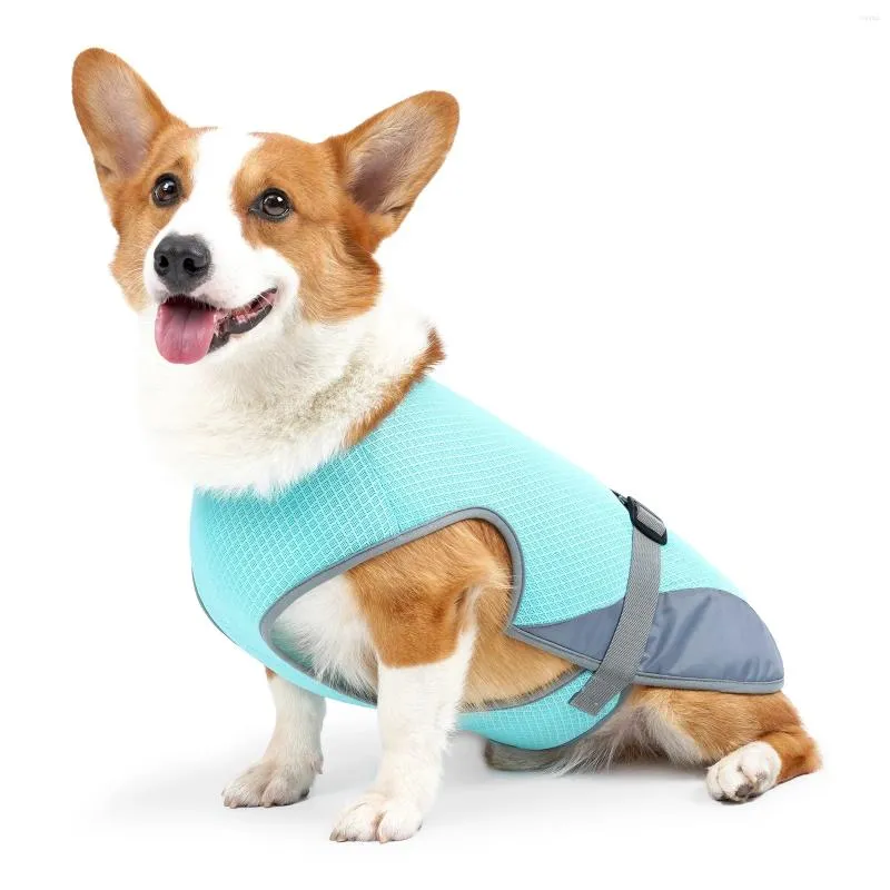 Hundkläder Summer Cooling Vest Breattable Mesh Evaporation Cooler Coat Pet Jacket för utomhusvandring Walking Camping