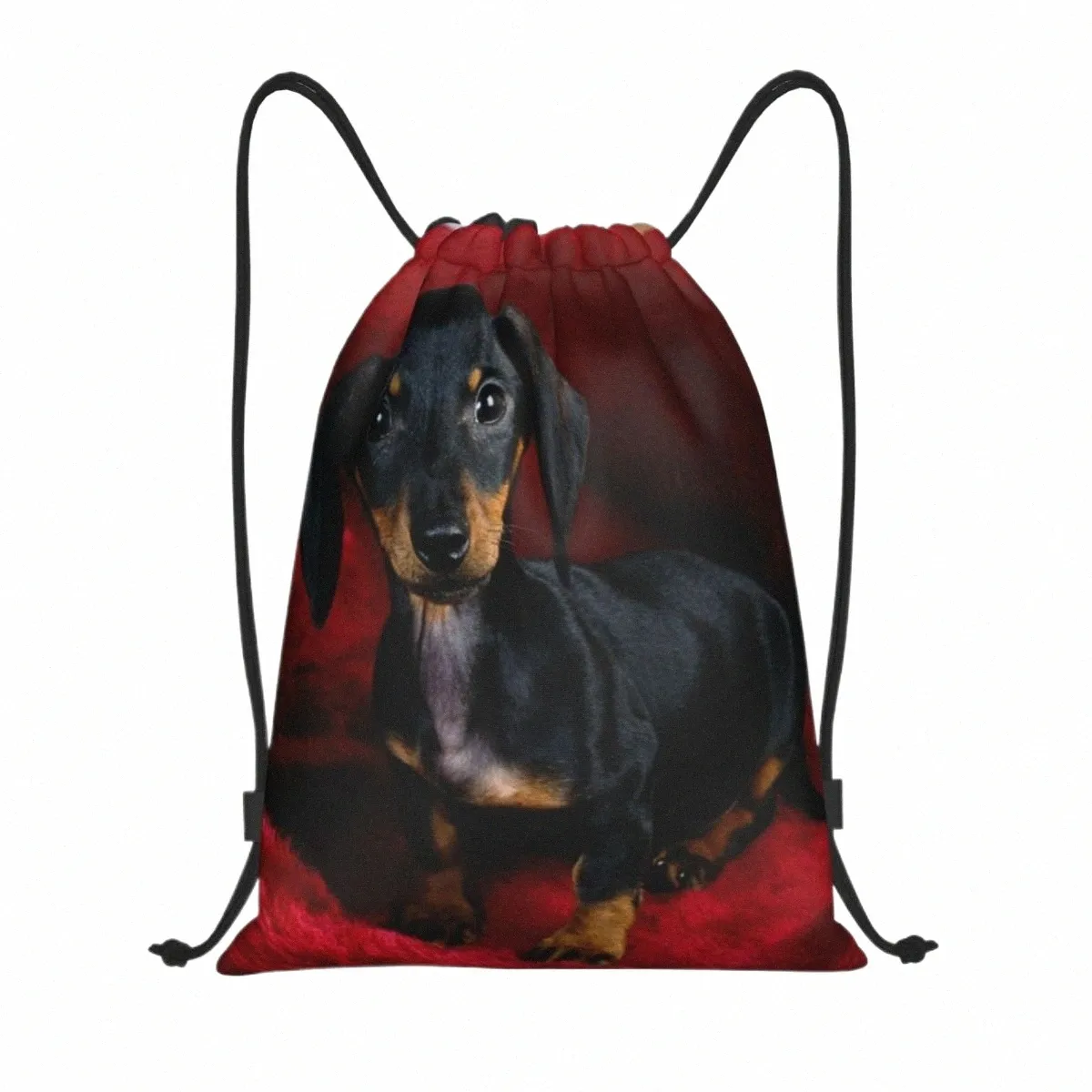 custom Cute Dachshund Drawstring Bags for Training Yoga Backpacks Men Women Sausage Wiener Badger Dog Sports Gym Sackpack L7qA#