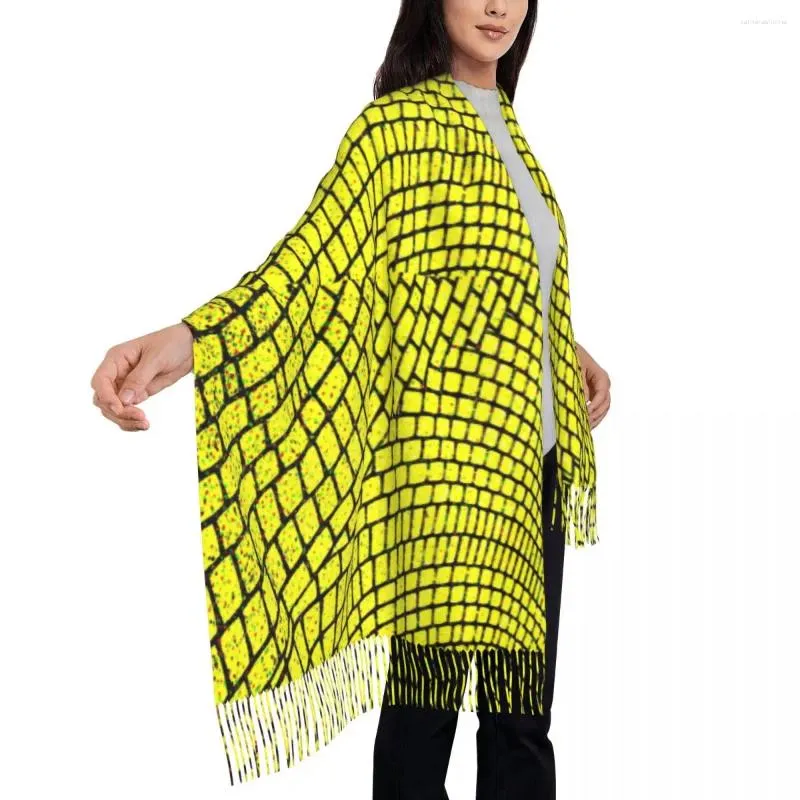 Sjaals unisex Scarf warme zachte geometrische kunst groot met kwast gele bakstenen wegafdruk y2k cool sjaals wrpas winter bufanda
