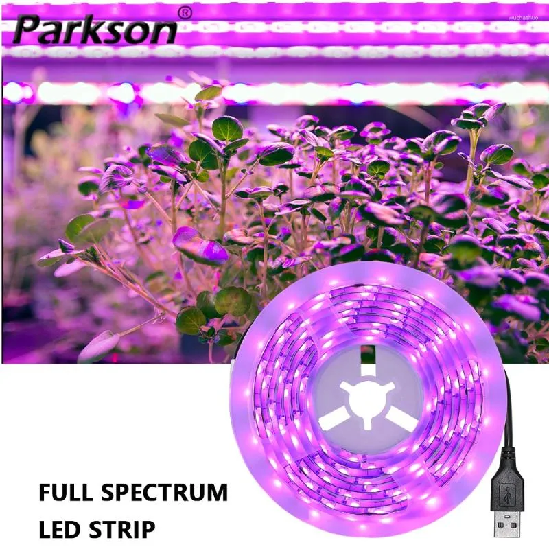 Cultiver les lumières USB LED LUMIÈRE SPECTRUM FULLE PLANTAPHIER IP65 DC 5V Strip Phyto Lampes pour la tente de semis de fleurs de légumes