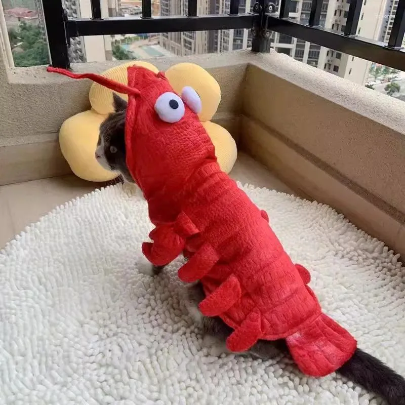 Odzież psa homara ubrania kota kota zabawny kostium unikalny garnitur dla psów dess up