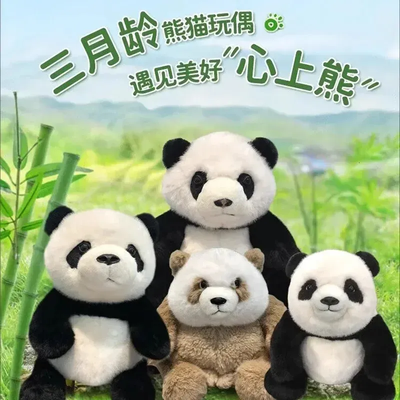 成都パンダぬいぐるみのおもちゃ リアルな白黒パンダ人形完璧な