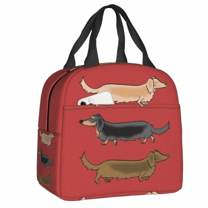 kawaii dackshund chiens isolé sac fourre-tout pour les femmes Wiener Sausage chien portable cool thermique bento box de travail