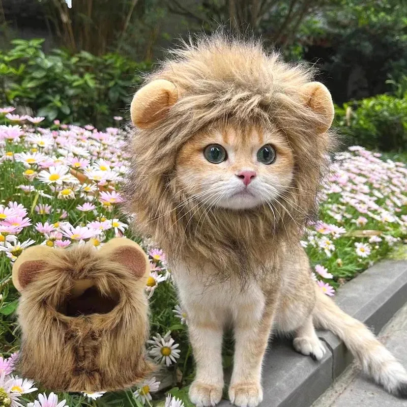 Cat Costume Cute Lion Mane Cat Wig Hat Cosplay Clothes Cap Dress
