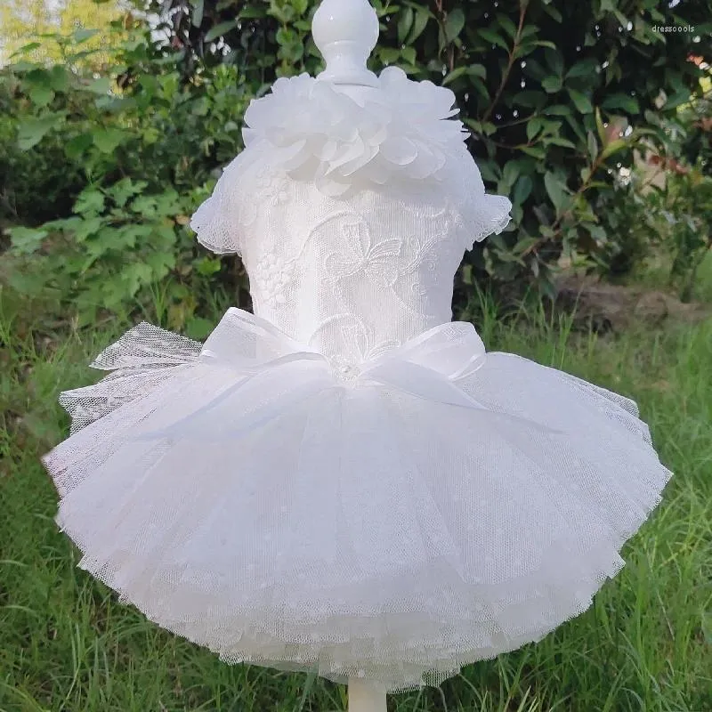 Ropa para perros 2024 vestidos de boda de mascotas blancas puras hechas a mano fina de encaje de mariposa bordada faldas para ropa pequeña caniche