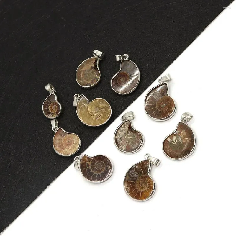 Pendant Necklaces Natural Stone Shell Ammonite Snail 10-35mm Charm Vintage Making DIY Necklace Earrings Fashion Jewelry Boutique Accessory