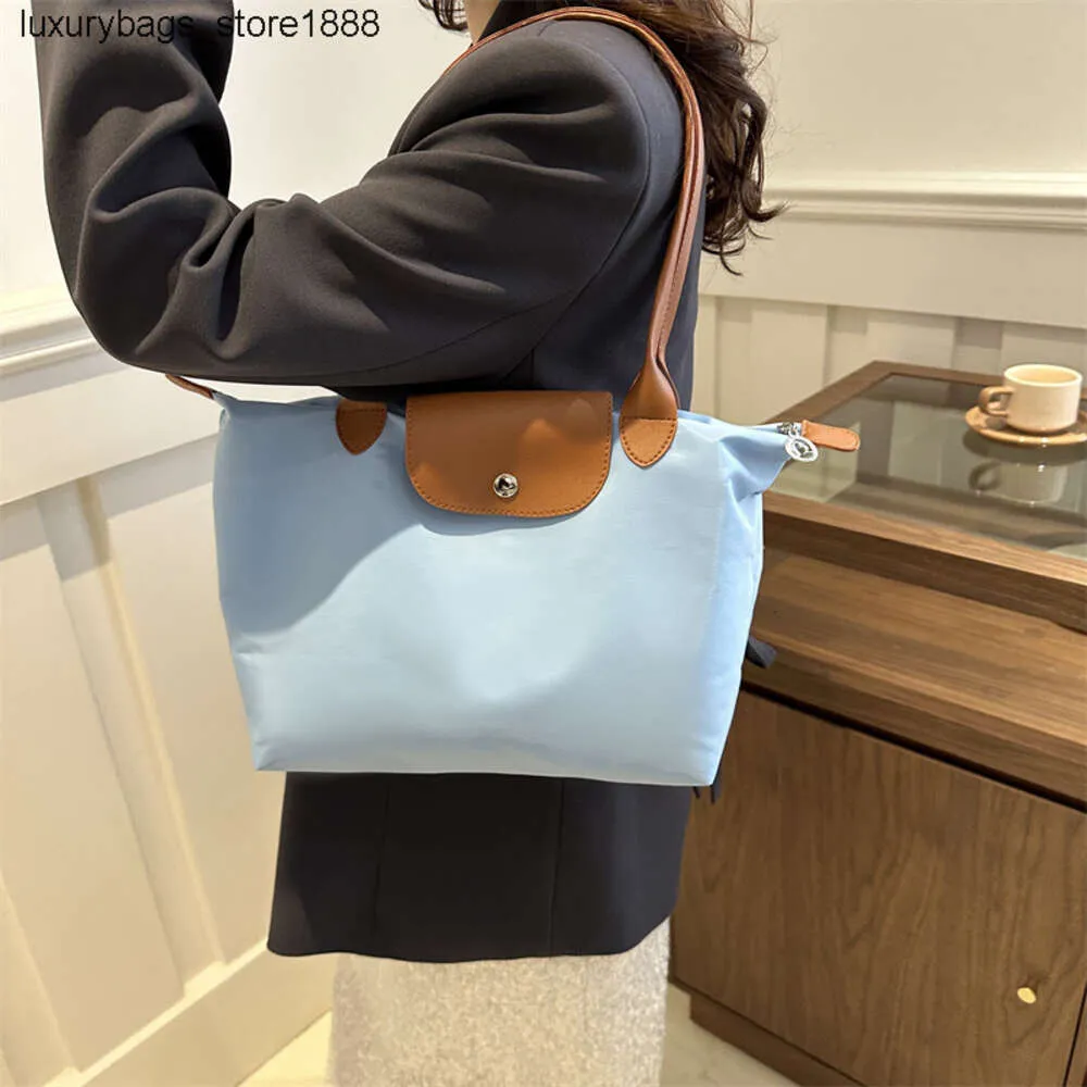 Produttori Design di alta qualità Design all'ingrosso New French New Longxiang Bag 2024 Classic pieghevole impermeabile a una spalla Tote