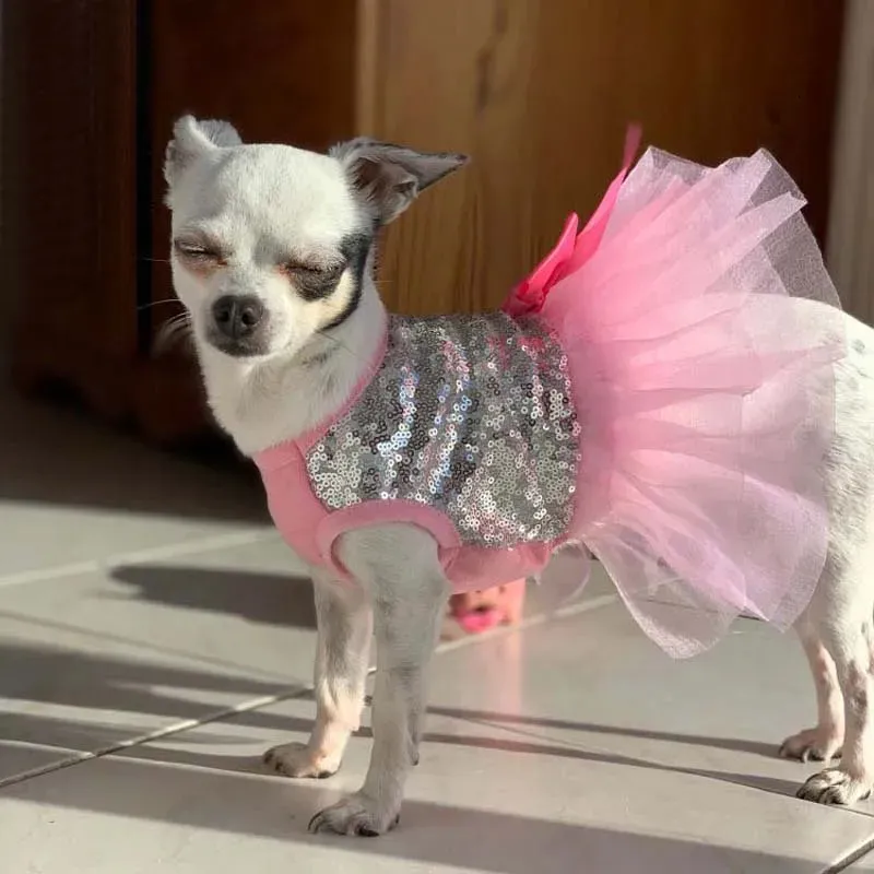 Princess Dog Dress Summer Bright Shirt Tutu kjol Dog kläder för Yorkie Chihuahua Shih Tzu Bowknot Wedding Party Puppy Costume 240416