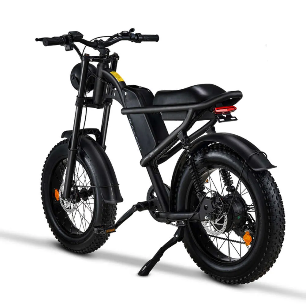 Elektro Velosiped 20 Inch 48v 500W Fatbike Z8 Lady Electric Bicycle with Full Suspension