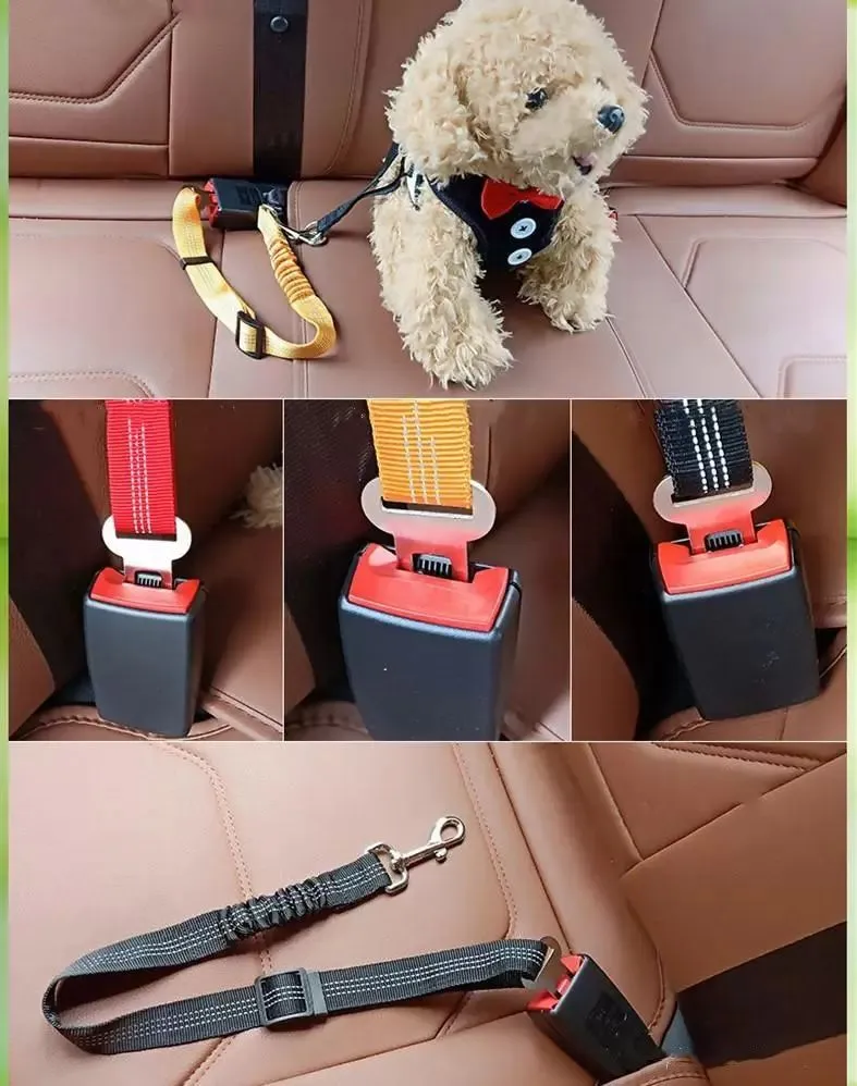 Lignes de chien Pet Car Chain de réflexion Elastique ceinture de sécurité Modèle explosif Doggy Chaincar Cushion Seat Riband Cinturon de Seguridad Con Cadena Para Coche Para Mascotas