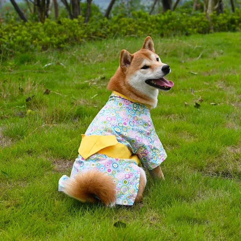 Japanese Dog Costumes: Finding the Right Fit & Style