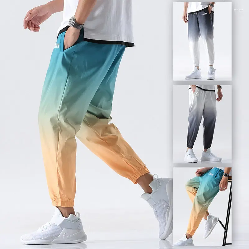 Męskie spodnie 2024 Hip Hop Streetwear Joggers Men Casual Cargo Pant Spodni High Street Elastyczna talia Gradient Kolor Harem Man