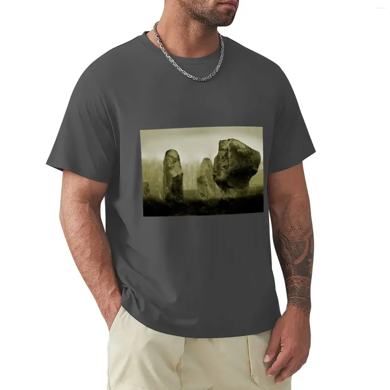 Men's Polos Cold Morning At Avebury Henge T-Shirt Customizeds Vintage Clothes Quick Drying Short Sleeve Tee Men