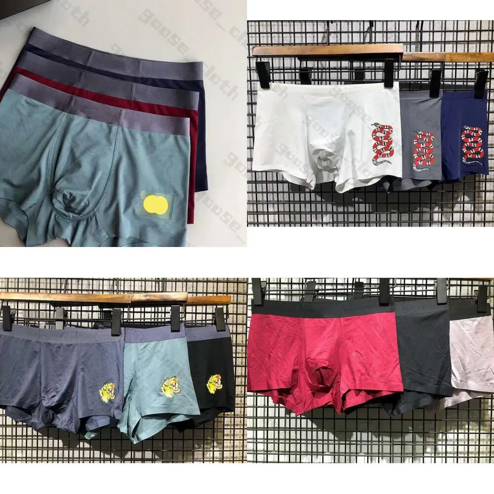 Mens 2021 Designers Boxers varumärken Underbyxor Klassiska boxare Casual Shorts underkläder andningsbara bomullsundervattar 3st med låda S