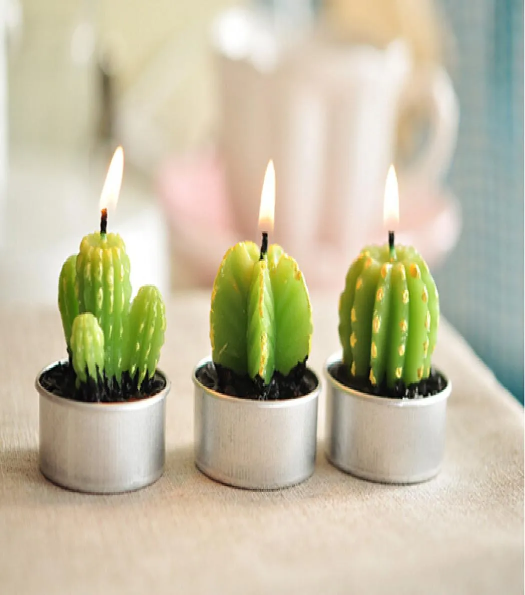 Whole Rare Mini Cactus Candles Plant Decor Home Table Garden 6pcslot kawaii Decoration Factory expert design Quali3953279