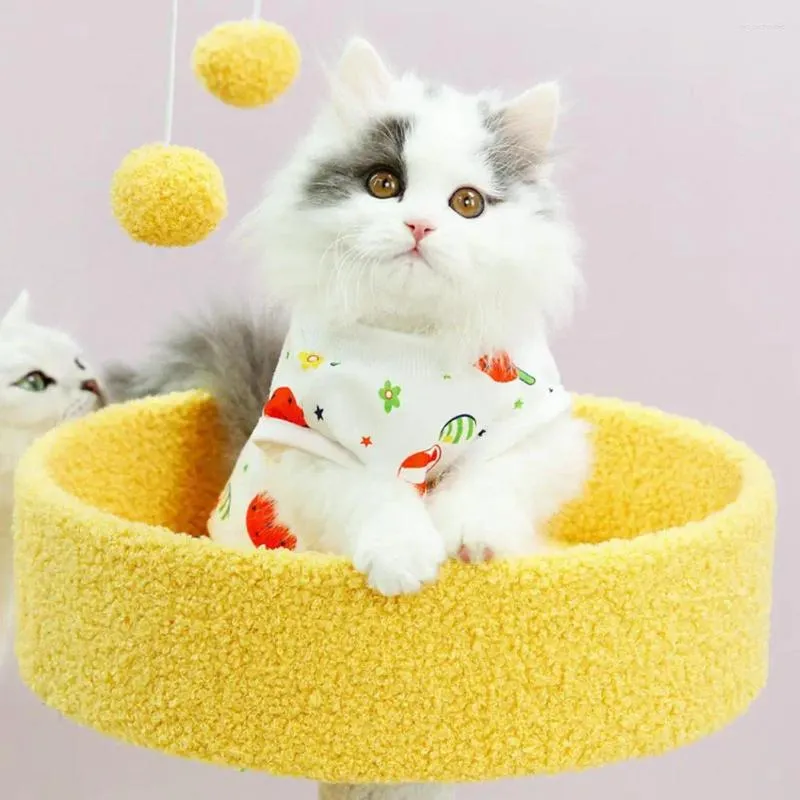 Kattdräkter stretchig kostymtecknad mönster Neutering kostym för kvinnliga katter Små hundar Anti-lickande outfit med mjuk avvänjning
