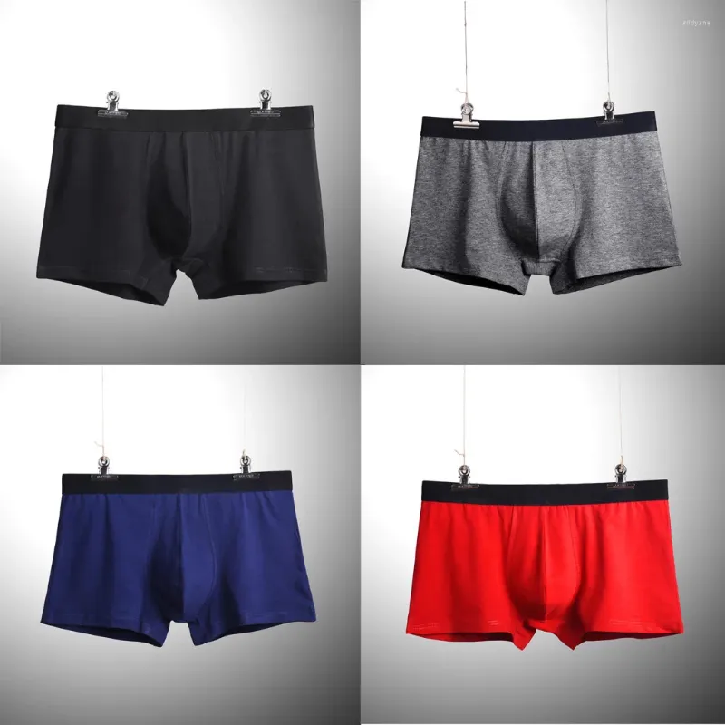 Cuecas 4 peças/lote calcinha masculina algodão boxadores de roupas íntimas masculinas Brandable boxer Solid Sold confortável Tamanho da marca PLUS PLUS