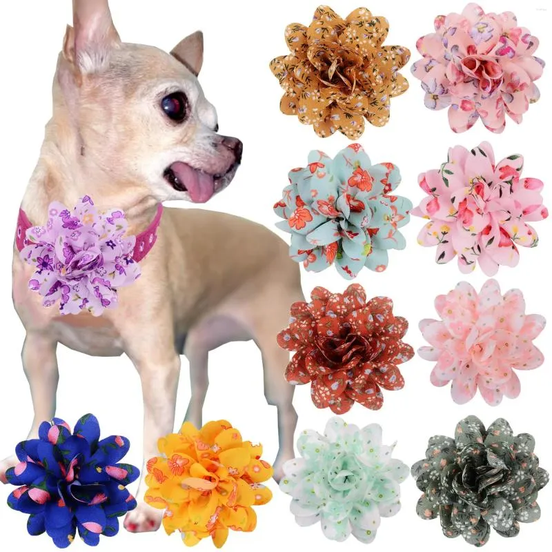 Hundkläder 50/100st blommor i BLOWAL BOLEBLEBLEBLES FÖR LITT CAT -tillbehör husdjurstillbehör