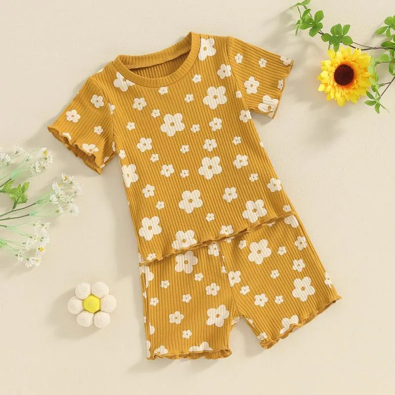 Kleidungsstücke Kinder Baby Girl Sommeroutfits lässig Blumen-/Schmetterlingsdruck 2-Stück-Tracksanzusen Kurzarm O Hals T-Shirts und Shorts für