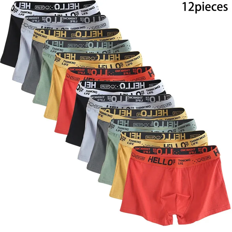 12 pezzi Mens Underwear Men Cotone Underpants maschio Pantaloni puri Shoxer traspirante comodo morbido plus size 240407